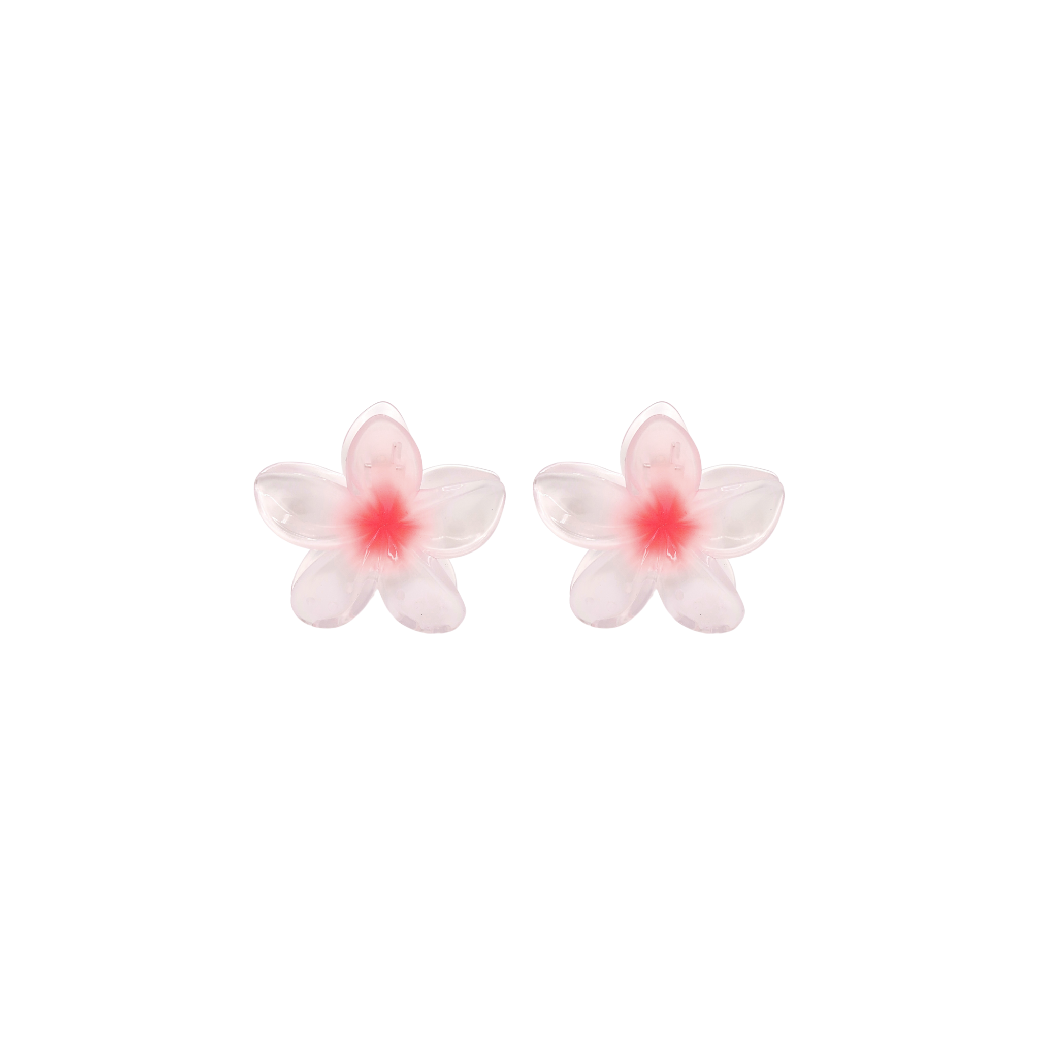 12.png