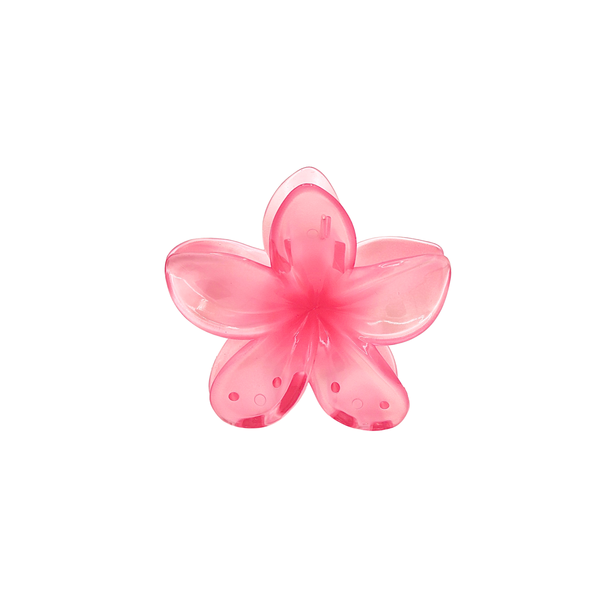 berrysakura.png